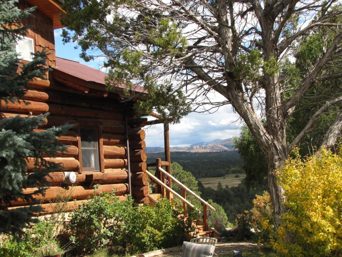 Starry Nights Ranch 3* Mancos