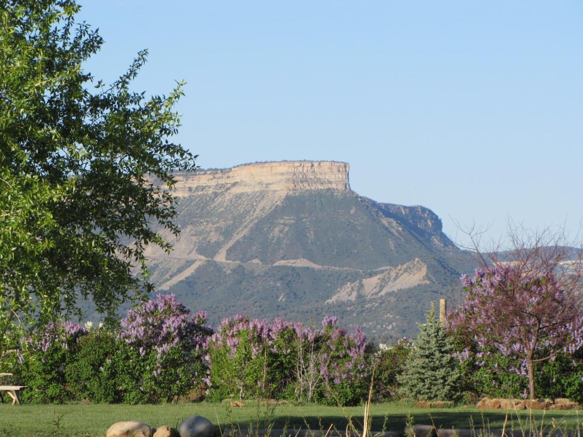 Starry Nights Ranch Bed & Breakfast Mancos